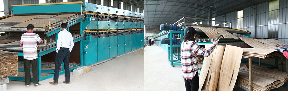 皮子嘿嘿视频在线观看