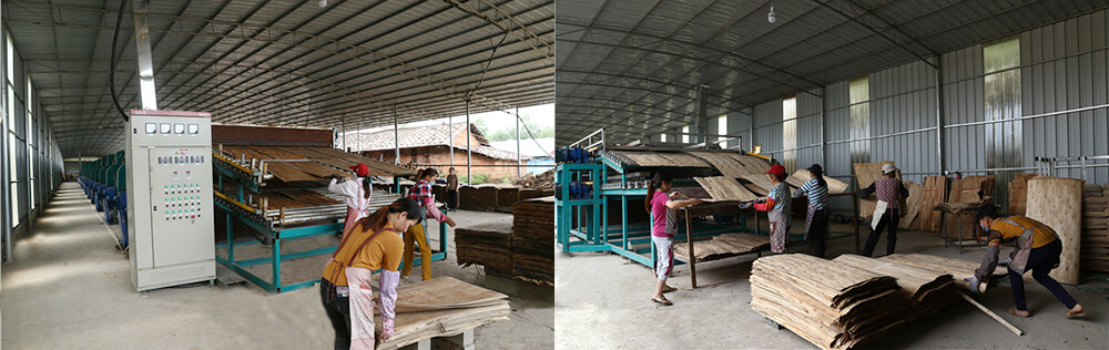 單板嘿嘿视频在线观看