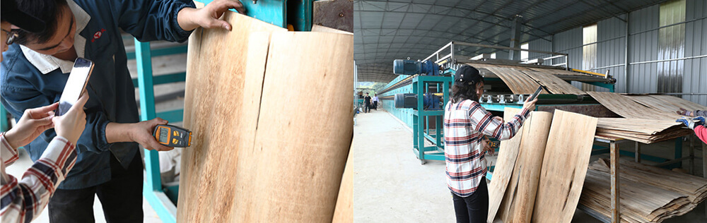 單板嘿嘿视频在线观看