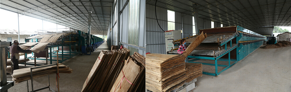 皮子嘿嘿视频在线观看設備