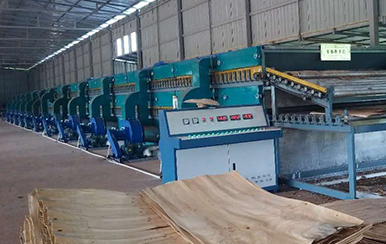 木皮嘿嘿视频在线观看