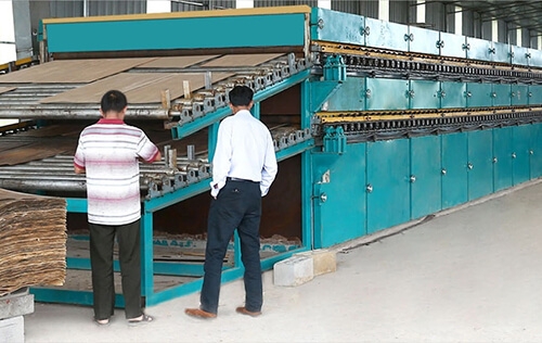 木片嘿嘿视频在线观看