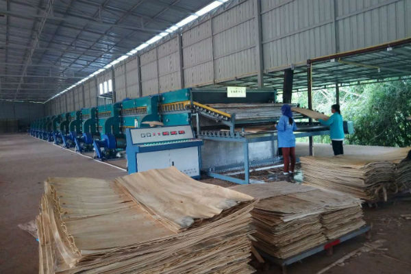 雙層單板嘿嘿视频在线观看