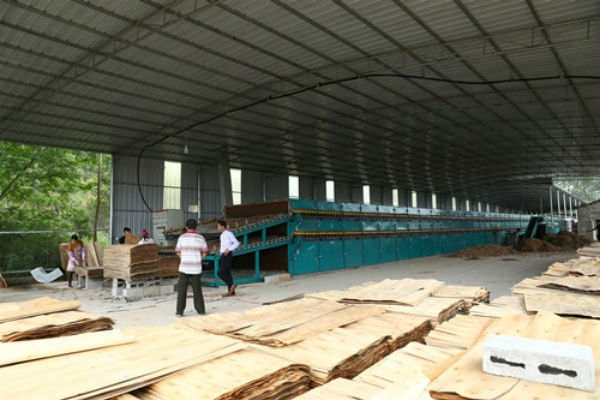 中板嘿嘿视频在线观看