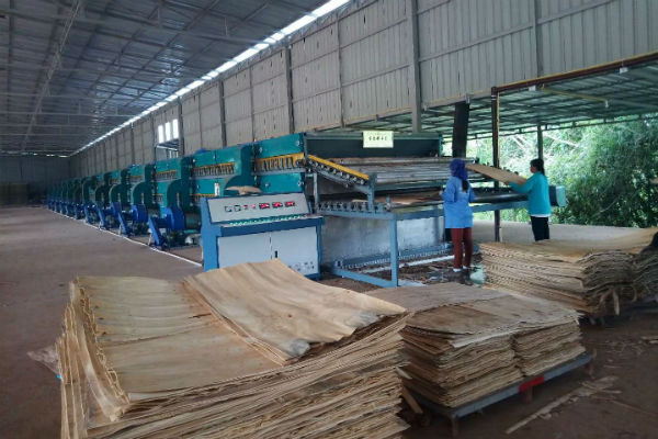 木材嘿嘿视频在线观看工作現場