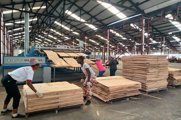 芯板嘿嘿视频在线观看