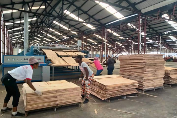 芯板嘿嘿视频在线观看