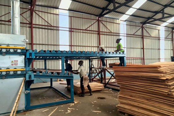 雙層單板嘿嘿视频在线观看