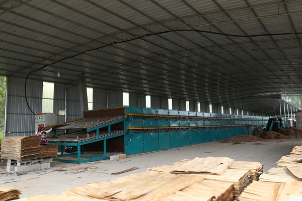 自動進板嘿嘿视频在线观看