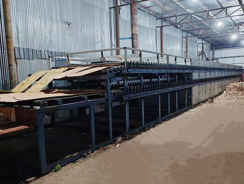 單板嘿嘿视频在线观看