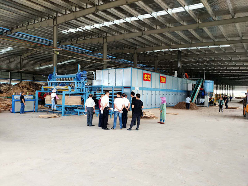 木皮嘿嘿视频在线观看